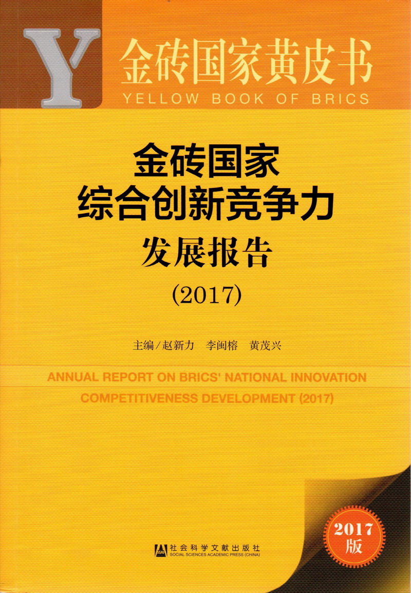 白虎42646792ujj操逼urydb金砖国家综合创新竞争力发展报告（2017）